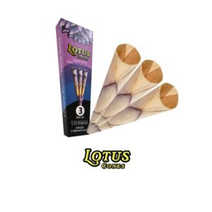 LOTUS CONES - REAL LOTUS PETAL CONES
